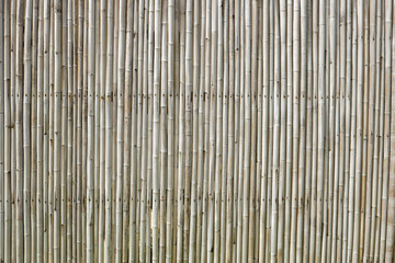 Old Bamboo wall background.