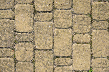 Concrete Square Paving Stone Texture. Landscaping background concept