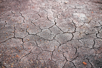 Dry and cracked earth background.