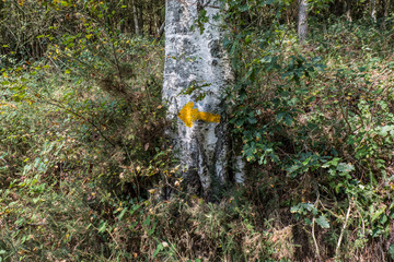 Roadsign on the Way of St. James (