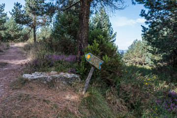 Search Photos Santiago De Compostela - 