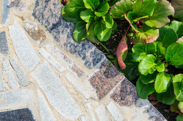 Abstract Cracked Mosaic Texture from Natural Stones with Plants. Flower Bed Element