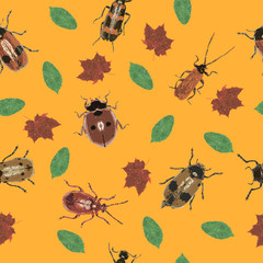 Beetles and Leaves on orange Background  -  JPEG Seamless Pattern