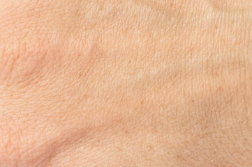 Human skin. Close up. Medical and abstract background.