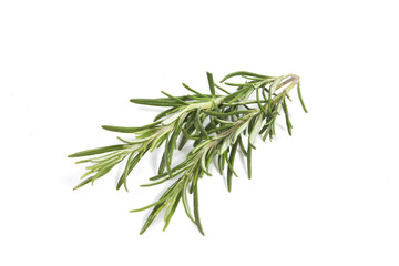 Rosemary twigs on white