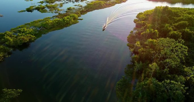 Vegetation of Native forest in the Pantanal Biome. Aerial image of the Boat sails in the river. Mato Grosso do Sul state, Central-Western Brazil.
