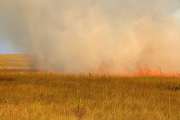 Fototapeta na wymiar Disastrous steppe fire