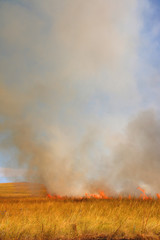 Disastrous steppe fire