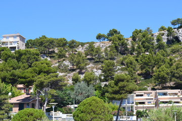 Obraz premium Garrigue