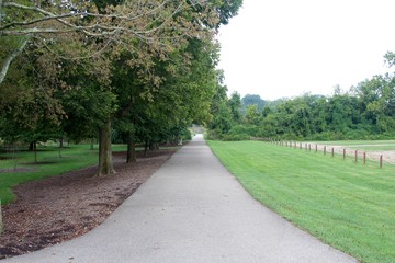 The long sidewalk next to the rows of trees in the park.