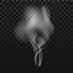 Transparent smoke on dark background. Vector illustration