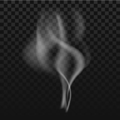 Transparent smoke on dark background. Vector illustration