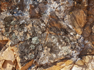 roccia
