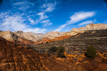 Obraz premium Eroded Sandstone in Front of The White Sandstone in Snow Canyon Utah State Park