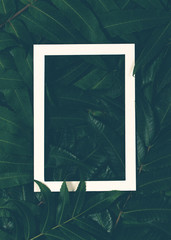 Creative layout made of green leaves with white frame. Top view, flat lay.