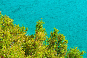 Fototapeta na wymiar Sea view from the mountain. Adriatic Sea. Turquoise water and young greens.