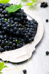 Red wine grapes in silver tray on grey background. Close up.