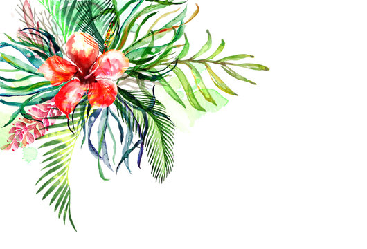 Hand Drawn Watercolor Tropical Plants