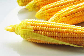 Mature corn on a white background