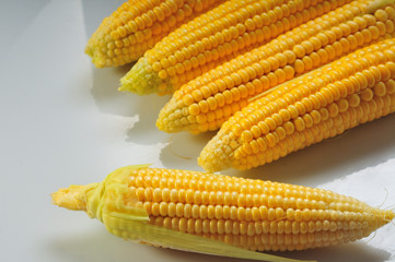 Mature corn on a white background