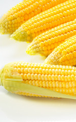 Mature corn on a white background