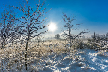 Magical winter landscape with snow in countryside, sun and blue sky, white christmas concept