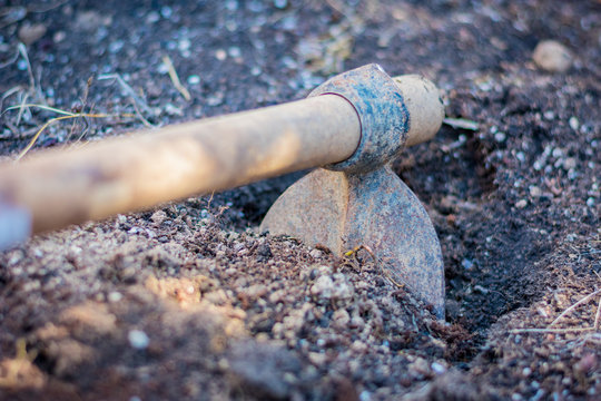 Trabajando la tierra