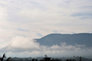 Fototapeta na wymiar Mountain forest with fog landscape nature background