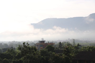 Fototapeta na wymiar Mountain with fog landscape nature background 