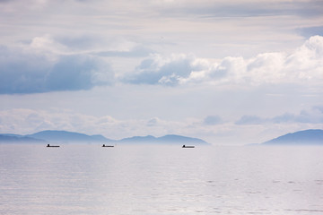 青空と太陽と海
