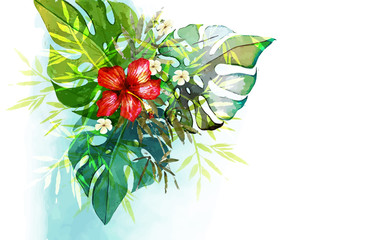 Hand drawn watercolor tropical plants