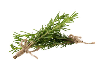 fresh rosemary bunch isolated on white background
