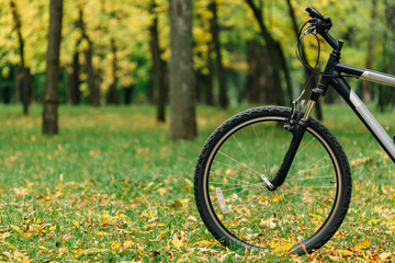 Fototapeta premium Bicycle in colorful autumn park. Fall season background