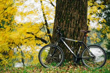 Fototapeta premium Bicycle in colorful autumn park. Fall season background