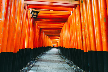 京都 伏見稲荷大社 日本