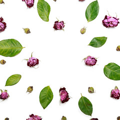 Dry flowers roses and green leaves scattered in a chaotic manner, isolated on white background.