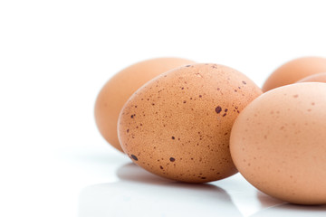 eggs on white background