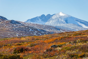 Dovrefjell Nationalpark, Norwegen