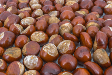 chestnuts