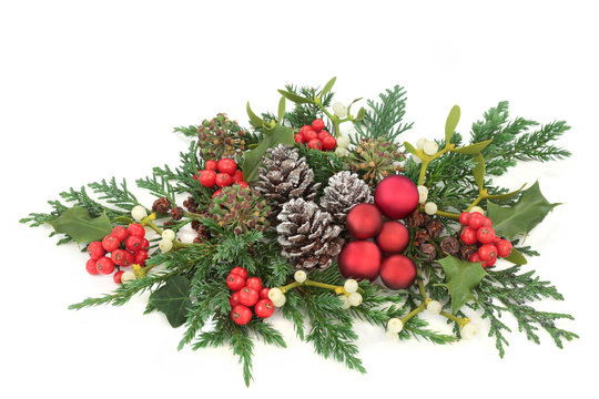 Christmas decorative display red bauble decorations, holly, ivy, mistletoe, cedar and juniper leaf sprigs and pine cones on white background.