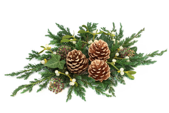 Christmas floral decoration with gold pine cones,  ivy, mistletoe, cedar and juniper leaf sprigs on white background.