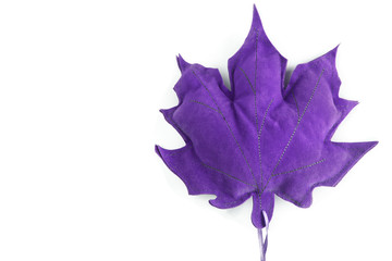 Naklejka premium Leaf isolated on white background with copy space for your design 