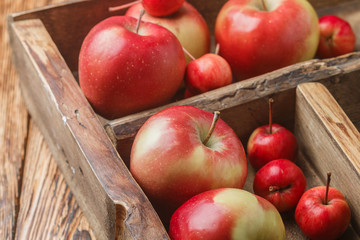 Red juicy organic apples in wooden box. The harvest from the garden. Rustic style. Selective focus