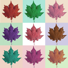 Mosaic of leaves. Colorful Leaf foliage autumn background 