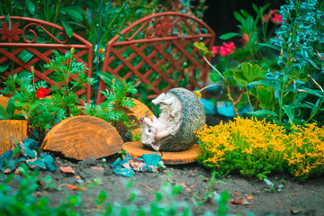 hedgehog