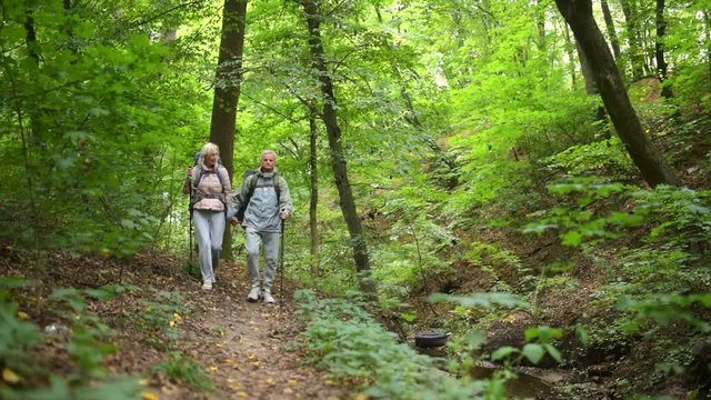 Cheerful elderly couple of tourists walking along the path in the wood