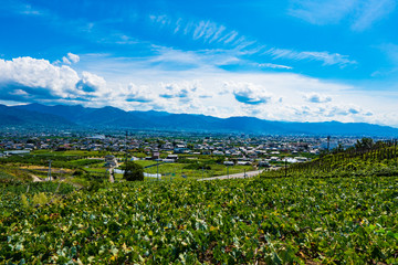 勝沼の風景