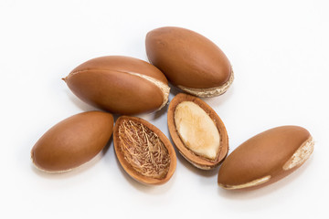 Obraz premium Argan seeds