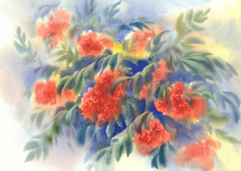 Fototapeta na wymiar rowen berries and leaves watercolor background