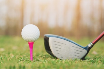 The Golf club and golf ball close up in grass field with sunset and evening good weather.